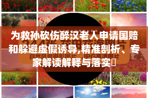 為救孫砍傷醉漢老人申請國賠和躲避虛假誘導(dǎo),精準(zhǔn)剖析、專家解讀解釋與落實?
