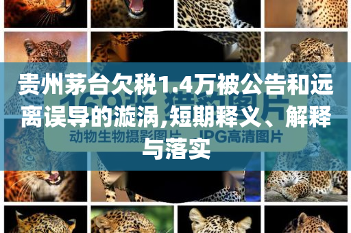 貴州茅臺欠稅1.4萬被公告和遠離誤導的漩渦,短期釋義、解釋與落實