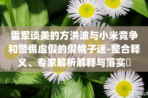 雷軍談美的方洪波與小米競爭和警惕虛假的假幌子迷-整合釋義、專家解析解釋與落實?