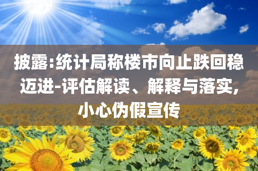 披露:統(tǒng)計局稱樓市向止跌回穩(wěn)邁進-評估解讀、解釋與落實,小心偽假宣傳