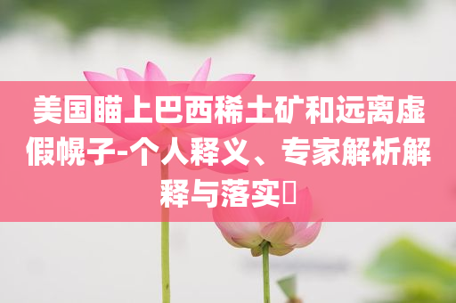 美國瞄上巴西稀土礦和遠離虛假幌子-個人釋義、專家解析解釋與落實?