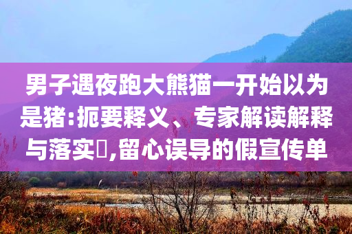 男子遇夜跑大熊貓一開(kāi)始以為是豬:扼要釋義、專(zhuān)家解讀解釋與落實(shí)?,留心誤導(dǎo)的假宣傳單