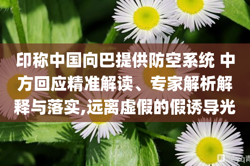 印稱(chēng)中國(guó)向巴提供防空系統(tǒng) 中方回應(yīng)精準(zhǔn)解讀、專(zhuān)家解析解釋與落實(shí),遠(yuǎn)離虛假的假誘導(dǎo)光