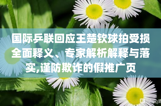 國際乒聯(lián)回應(yīng)王楚欽球拍受損全面釋義、專家解析解釋與落實(shí),謹(jǐn)防欺詐的假推廣頁