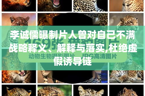李誠(chéng)儒曝制片人曾對(duì)自己不滿戰(zhàn)略釋義、解釋與落實(shí),杜絕虛假誘導(dǎo)鏈