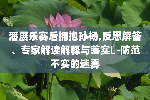 潘展樂賽后擁抱孫楊,反思解答、專家解讀解釋與落實?-防范不實的迷霧
