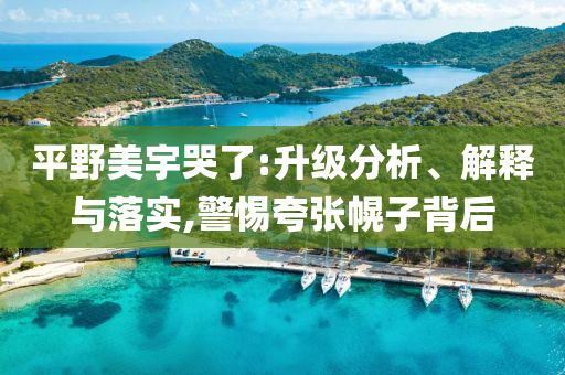 平野美宇哭了:升級(jí)分析、解釋與落實(shí),警惕夸張幌子背后