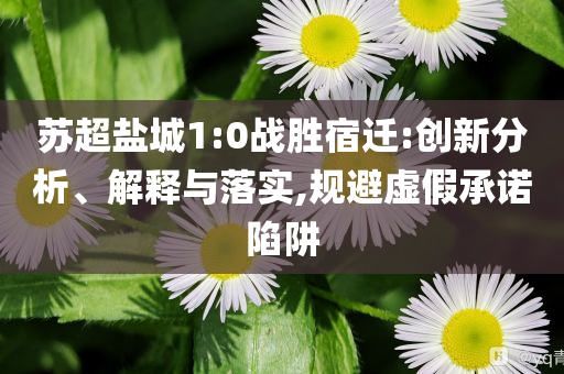 蘇超鹽城1:0戰(zhàn)勝宿遷:創(chuàng)新分析、解釋與落實,規(guī)避虛假承諾陷阱