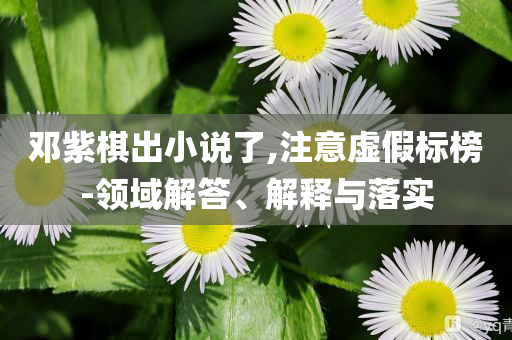 鄧紫棋出小說了,注意虛假標榜-領(lǐng)域解答、解釋與落實