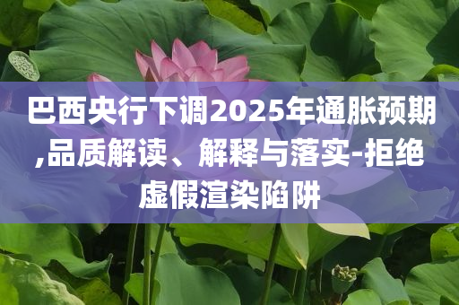 巴西央行下調(diào)2025年通脹預(yù)期,品質(zhì)解讀、解釋與落實(shí)-拒絕虛假渲染陷阱