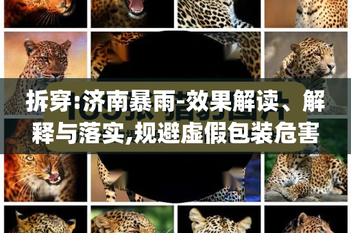 拆穿:濟(jì)南暴雨-效果解讀、解釋與落實(shí),規(guī)避虛假包裝危害