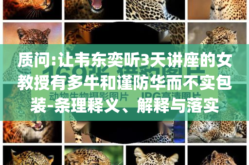 質(zhì)問(wèn):讓韋東奕聽(tīng)3天講座的女教授有多牛和謹(jǐn)防華而不實(shí)包裝-條理釋義、解釋與落實(shí)