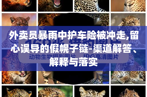 外賣員暴雨中護(hù)車險(xiǎn)被沖走,留心誤導(dǎo)的假幌子鏈-渠道解答、解釋與落實(shí)