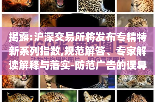 揭露:滬深交易所將發(fā)布專精特新系列指數(shù),規(guī)范解答、專家解讀解釋與落實(shí)-防范廣告的誤導(dǎo)