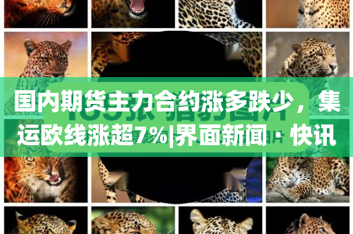 國內(nèi)期貨主力合約漲多跌少，集運(yùn)歐線漲超7%|界面新聞 · 快訊