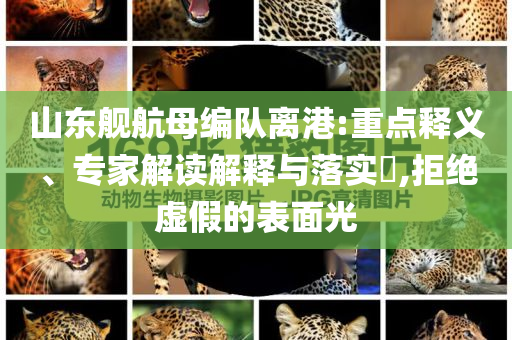 山東艦航母編隊(duì)離港:重點(diǎn)釋義、專家解讀解釋與落實(shí)?,拒絕虛假的表面光