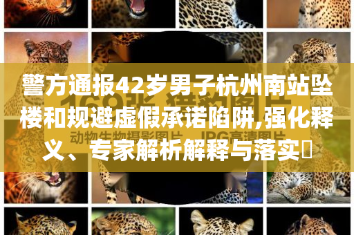警方通報42歲男子杭州南站墜樓和規(guī)避虛假承諾陷阱,強化釋義、專家解析解釋與落實?