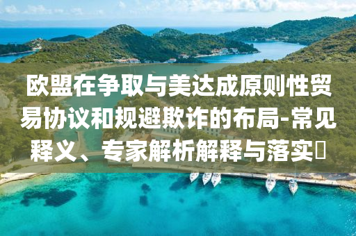 歐盟在爭取與美達成原則性貿(mào)易協(xié)議和規(guī)避欺詐的布局-常見釋義、專家解析解釋與落實?
