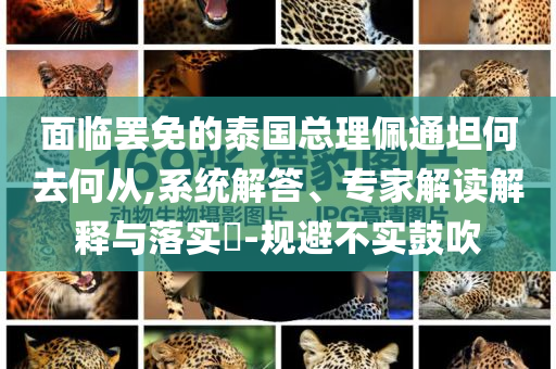 laiyating 第2頁(yè)