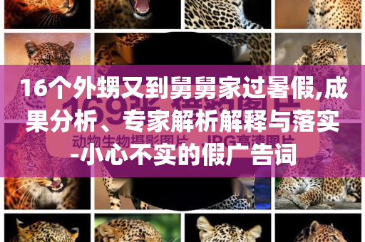 16個外甥又到舅舅家過暑假,成果分析、專家解析解釋與落實-小心不實的假廣告詞