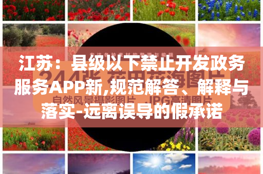 江蘇：縣級(jí)以下禁止開(kāi)發(fā)政務(wù)服務(wù)APP新,規(guī)范解答、解釋與落實(shí)-遠(yuǎn)離誤導(dǎo)的假承諾
