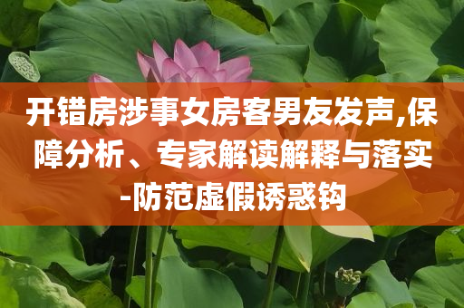 開錯房涉事女房客男友發(fā)聲,保障分析、專家解讀解釋與落實-防范虛假誘惑鉤