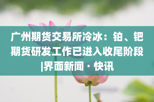 廣州期貨交易所冷冰：鉑、鈀期貨研發(fā)工作已進(jìn)入收尾階段|界面新聞 · 快訊