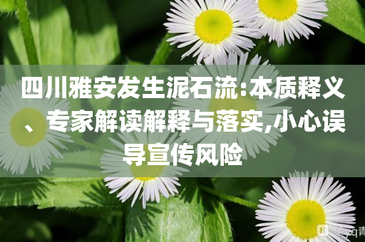 四川雅安發(fā)生泥石流:本質(zhì)釋義、專家解讀解釋與落實,小心誤導(dǎo)宣傳風(fēng)險