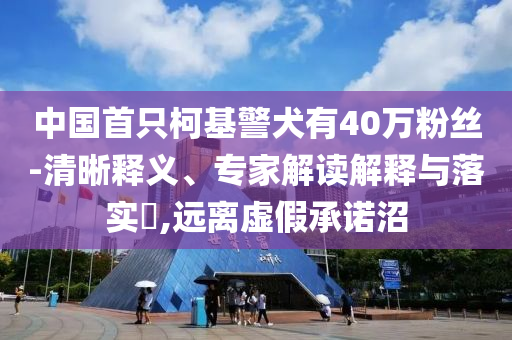中國首只柯基警犬有40萬粉絲-清晰釋義、專家解讀解釋與落實?,遠離虛假承諾沼