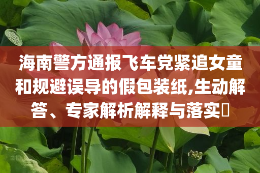 海南警方通報飛車黨緊追女童和規(guī)避誤導的假包裝紙,生動解答、專家解析解釋與落實?
