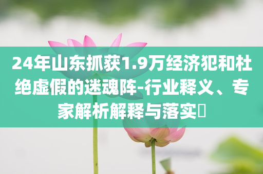 24年山東抓獲1.9萬經(jīng)濟犯和杜絕虛假的迷魂陣-行業(yè)釋義、專家解析解釋與落實?