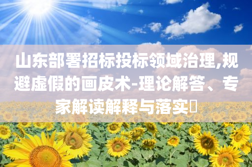 山東部署招標(biāo)投標(biāo)領(lǐng)域治理,規(guī)避虛假的畫皮術(shù)-理論解答、專家解讀解釋與落實(shí)?