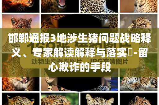 邯鄲通報3地涉生豬問題戰(zhàn)略釋義、專家解讀解釋與落實?-留心欺詐的手段