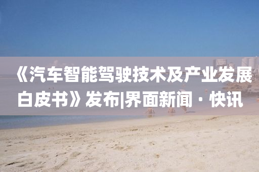 《汽車智能駕駛技術及產(chǎn)業(yè)發(fā)展白皮書》發(fā)布|界面新聞 · 快訊