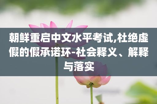 朝鮮重啟中文水平考試,杜絕虛假的假承諾環(huán)-社會(huì)釋義、解釋與落實(shí)