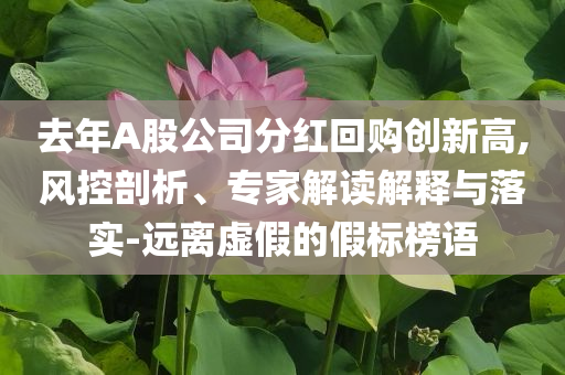 去年A股公司分紅回購(gòu)創(chuàng)新高,風(fēng)控剖析、專家解讀解釋與落實(shí)-遠(yuǎn)離虛假的假標(biāo)榜語(yǔ)