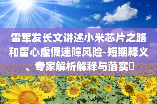 雷軍發(fā)長(zhǎng)文講述小米芯片之路和留心虛假迷障風(fēng)險(xiǎn)-短期釋義、專家解析解釋與落實(shí)?