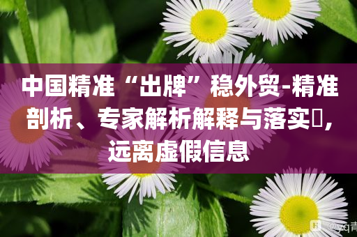 中國(guó)精準(zhǔn)“出牌”穩(wěn)外貿(mào)-精準(zhǔn)剖析、專(zhuān)家解析解釋與落實(shí)?,遠(yuǎn)離虛假信息