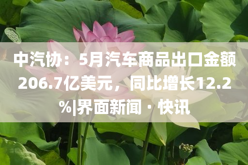 中汽協(xié)：5月汽車商品出口金額206.7億美元，同比增長12.2%|界面新聞 · 快訊