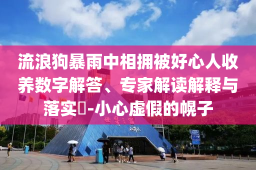 流浪狗暴雨中相擁被好心人收養(yǎng)數(shù)字解答、專家解讀解釋與落實(shí)?-小心虛假的幌子