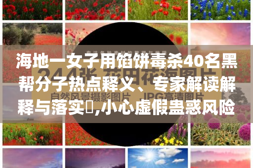 海地一女子用餡餅毒殺40名黑幫分子熱點釋義、專家解讀解釋與落實?,小心虛假蠱惑風險