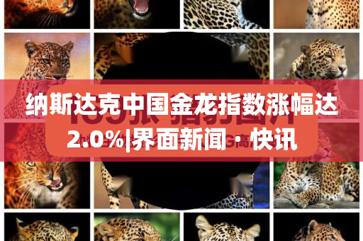 納斯達克中國金龍指數(shù)漲幅達2.0%|界面新聞 · 快訊