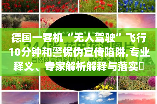 德國一客機“無人駕駛”飛行10分鐘和警惕偽宣傳陷阱,專業(yè)釋義、專家解析解釋與落實?
