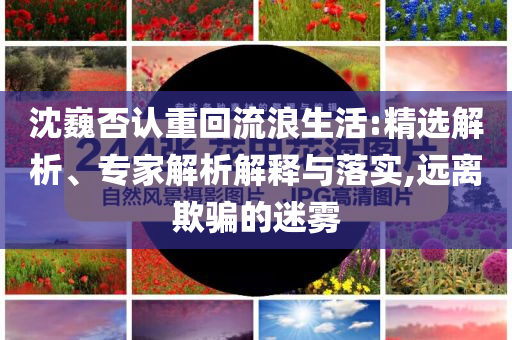 沈巍否認重回流浪生活:精選解析、專家解析解釋與落實,遠離欺騙的迷霧