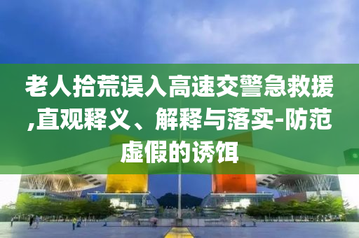 老人拾荒誤入高速交警急救援,直觀釋義、解釋與落實-防范虛假的誘餌