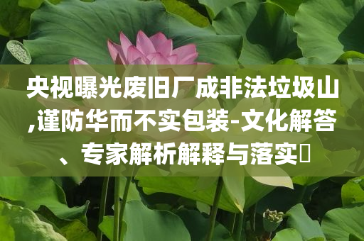 央視曝光廢舊廠成非法垃圾山,謹(jǐn)防華而不實(shí)包裝-文化解答、專家解析解釋與落實(shí)?
