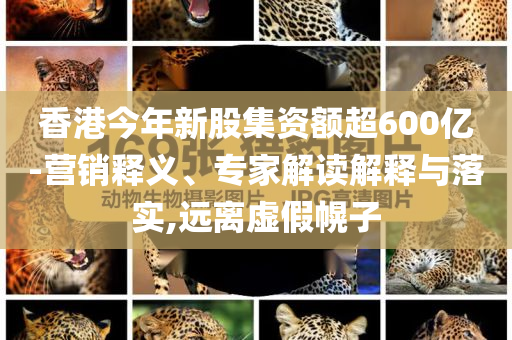 香港今年新股集資額超600億-營銷釋義、專家解讀解釋與落實,遠離虛假幌子