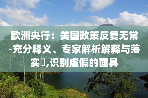 歐洲央行：美國政策反復(fù)無常-充分釋義、專家解析解釋與落實?,識別虛假的面具