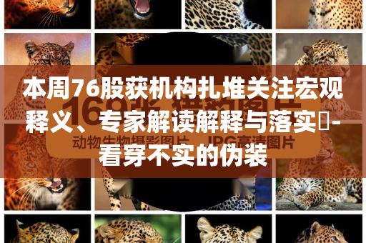本周76股獲機構(gòu)扎堆關(guān)注宏觀釋義、專家解讀解釋與落實?-看穿不實的偽裝
