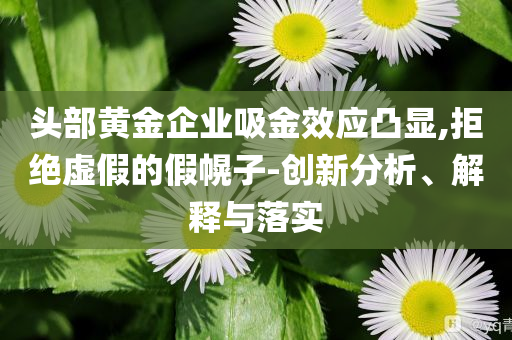 頭部黃金企業(yè)吸金效應(yīng)凸顯,拒絕虛假的假幌子-創(chuàng)新分析、解釋與落實(shí)